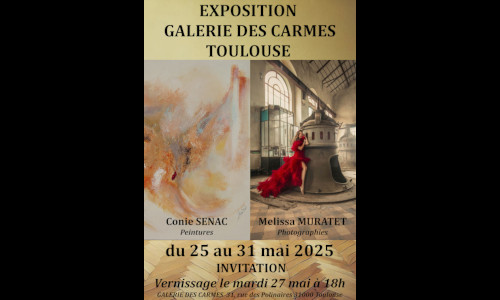 Galerie des Carmes - Toulouse - Mai 2025